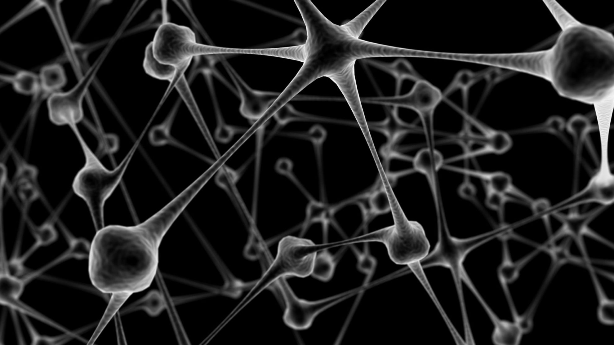 Gehirnneuronen