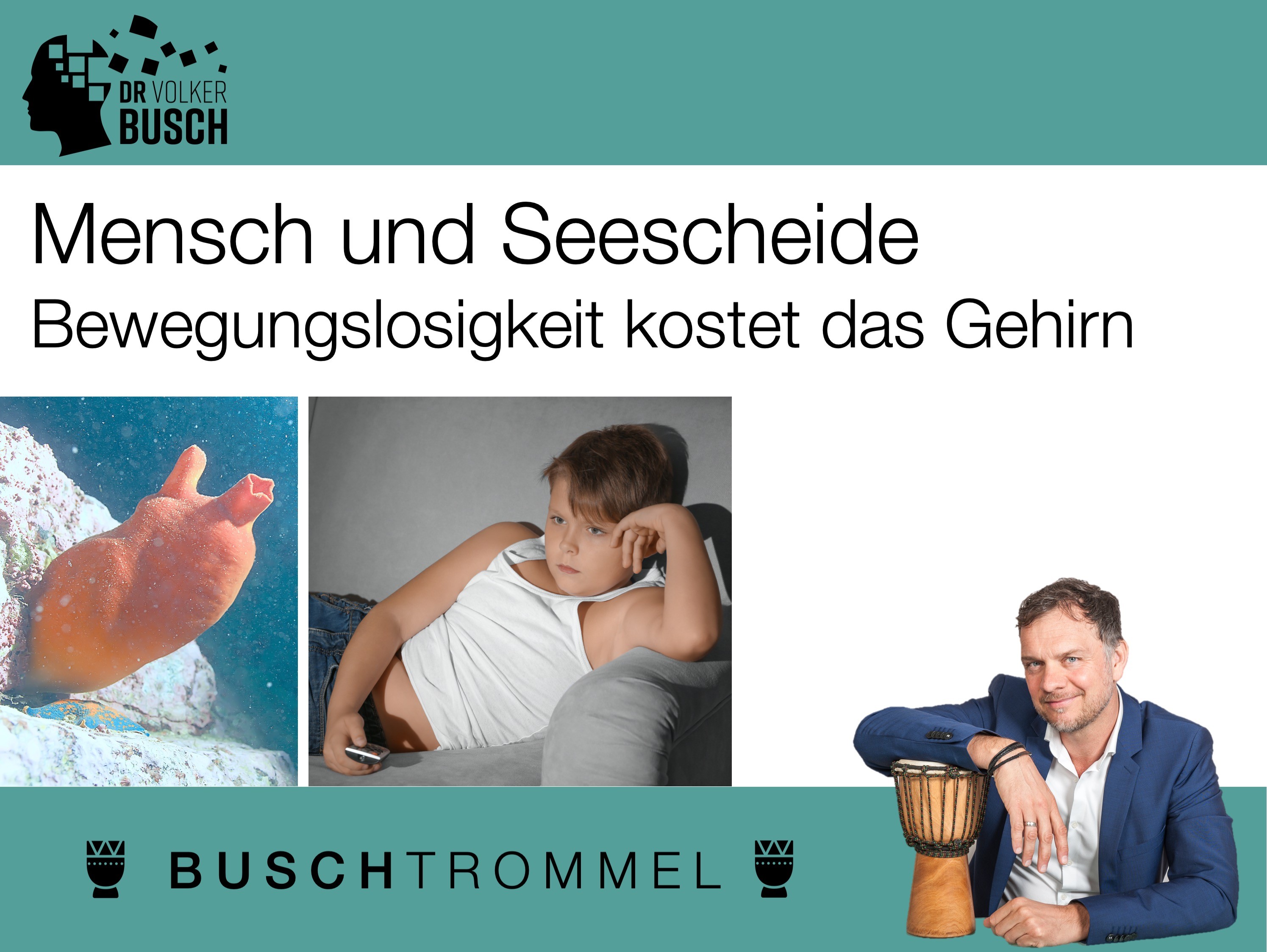 Buschtrommel: Mensch und Seescheide - Dr. Volker Busch